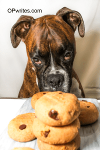 Olivia Puharski author food blog