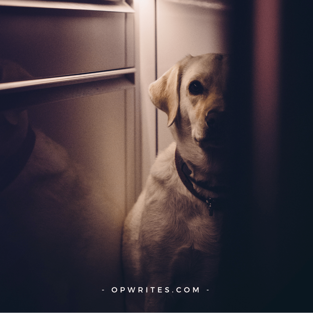 Introverts guide to small talk