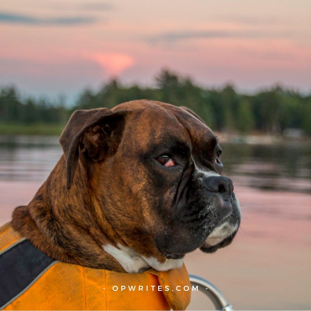 Muskoka sunset