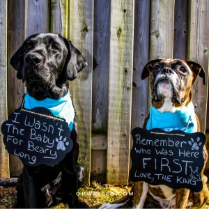 Advanced pregnancy workouts