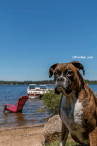 Importance of vitamin D