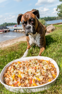 Easy Casserole Ideas 