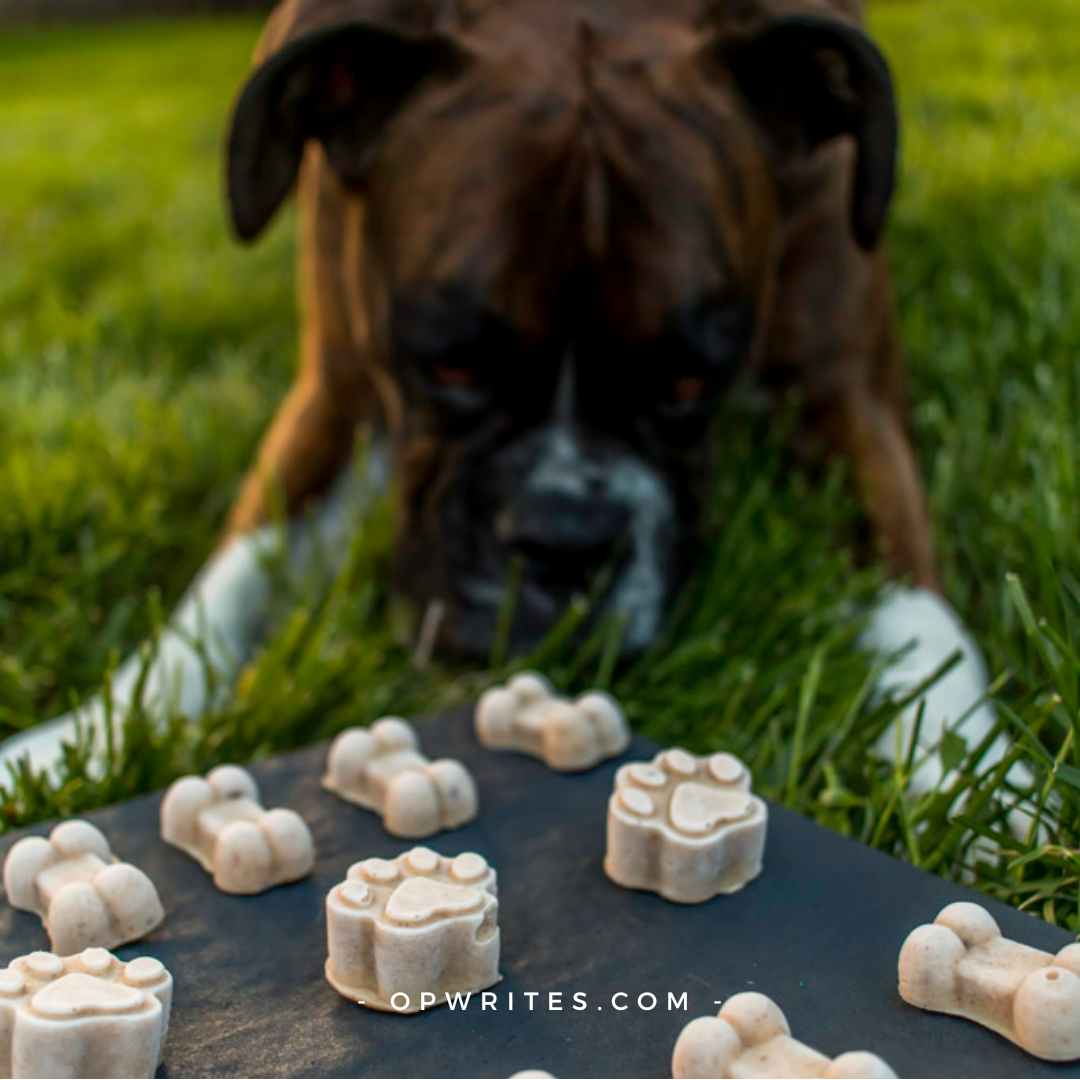 Homemade dog treats
