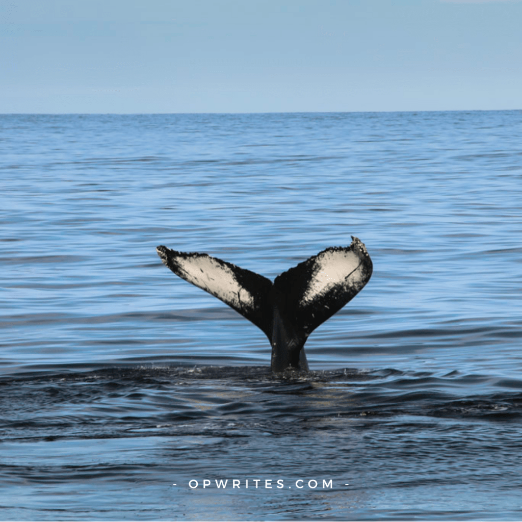 How to overcome failure