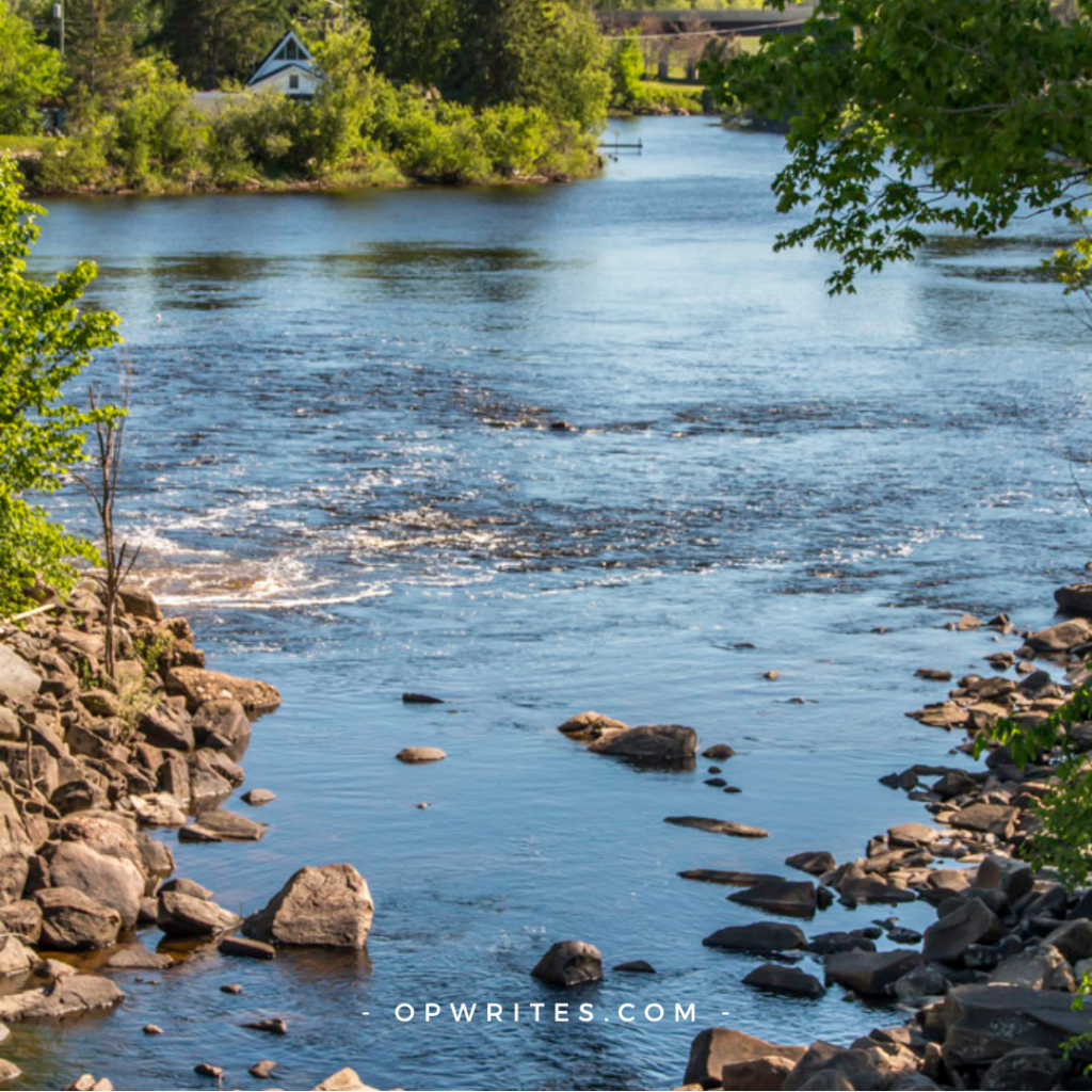 Why do you need vitamin D