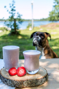 How to write a query letter