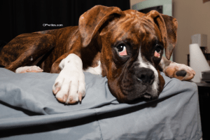 How to seize the moment