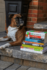 How to writes your first book