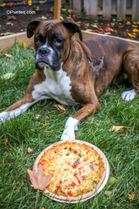 Freezer Friendly Meals