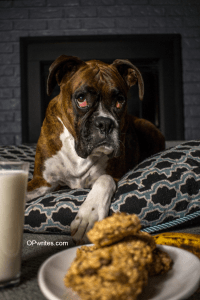 Cookies for weight loss