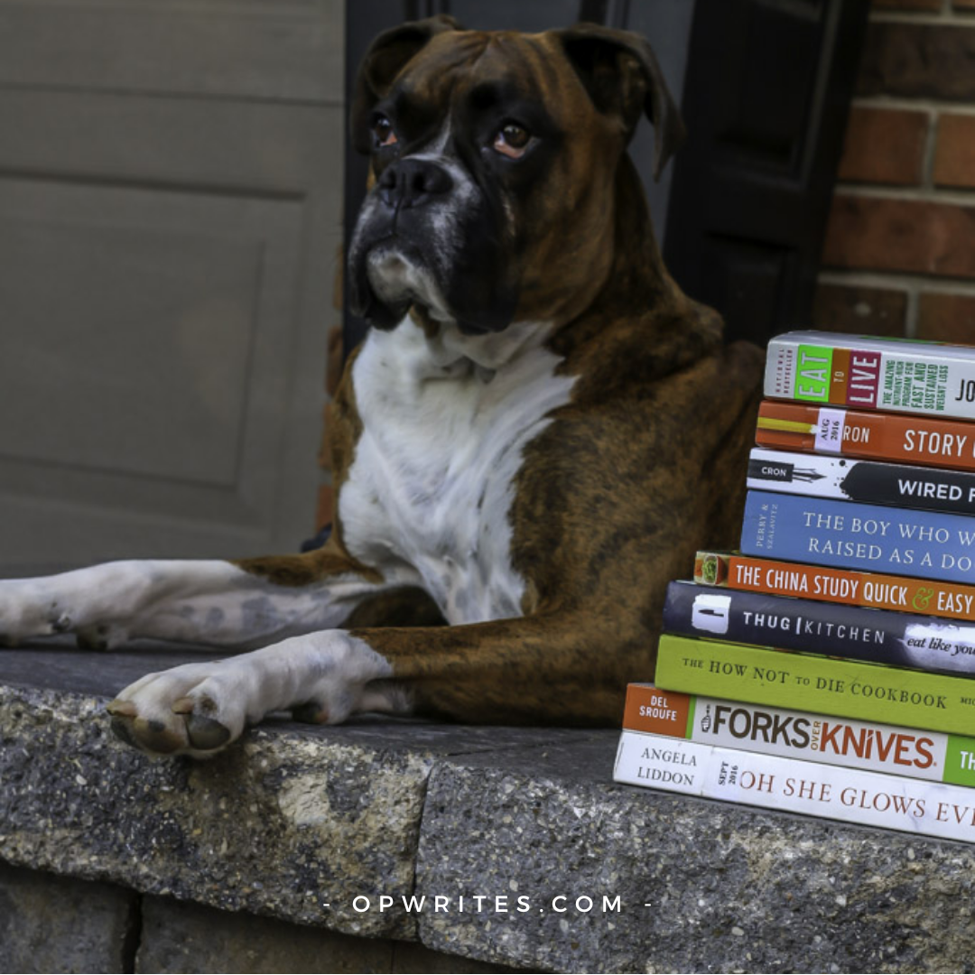 The best craft books for writers