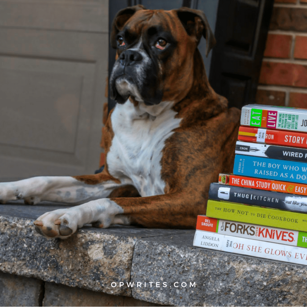 The best craft books for writers